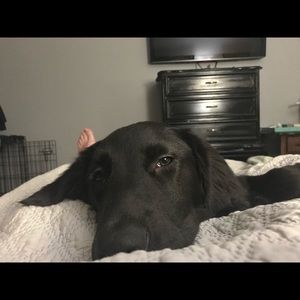 Meet your Posher, Ben